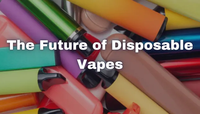 The Future of Disposable Vapes