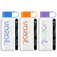 Vozol Star 12000 Puffs Disposable vape